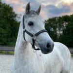 Floyd staat mooi te poseren in de buitenlucht.